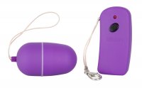 Vorschau: violettes Vibro-Ei 