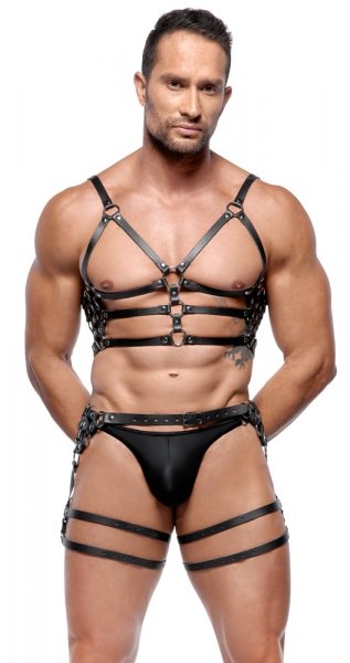 Harness-Set aus Leder