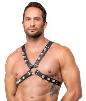 Vorschau: Brustharness aus Leder