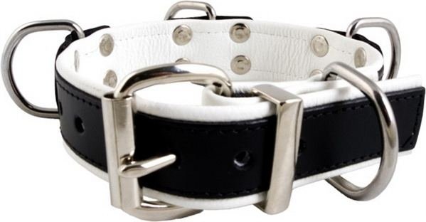 Leder Halsfessel