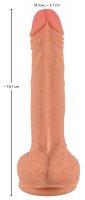 Vorschau: Naturdildo mit praller Eichel