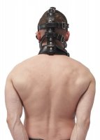 Vorschau: Leder Kopfgeschirr