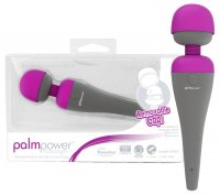 Vorschau: Massagestab PalmPower Massager