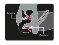 Vorschau: Prostata MassageBig Boy - wirkungsvoller Prostata-Vibrator