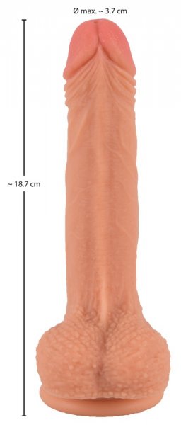Naturdildo mit praller Eichel