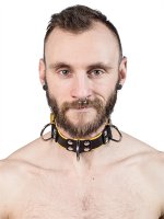Vorschau: Leder Halsfessel gelb