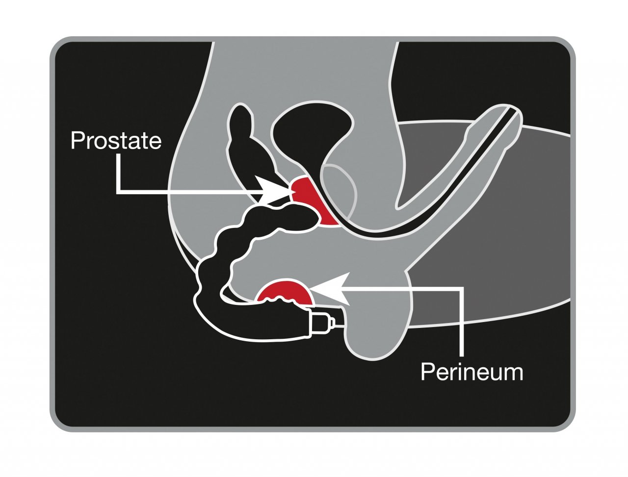 Der Cheeky Boy Prostata-Vibrator mit Lustkugeln Der Cheeky Boy Prostata-Vibrator mit Lustkugeln