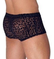 Vorschau: Pants