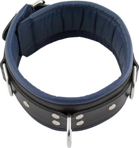 Sklaven Halsfessel mit blauer Polsterung Sklaven Halsfessel mit blauer Polsterung