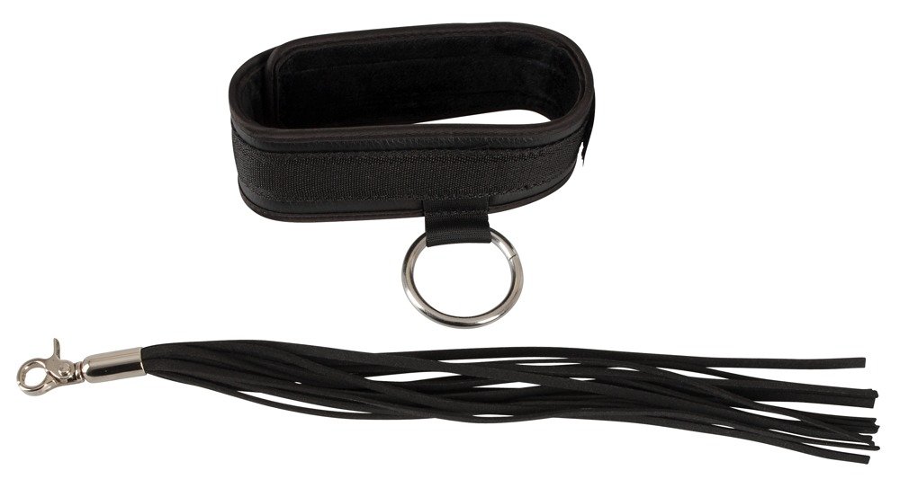 Halsband und Flogger Halsband und Flogger