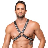 Vorschau: Brustharness aus Leder