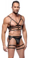 Vorschau: Harness-Set aus Leder