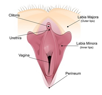Klitoris richtig lecken