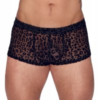Vorschau: Pants