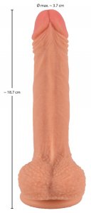 Naturdildo mit praller Eichel