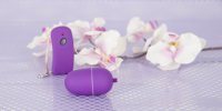 Vorschau: violettes Vibro-Ei 