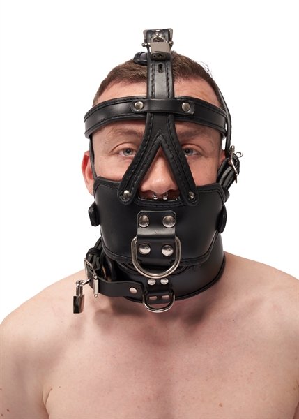 Leder Kopfgeschirr Leder Kopfgeschirr