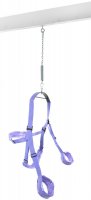 Vorschau: Liebesschaukel Fantasy Swing Purple